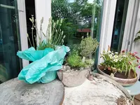 IMG_20210603_133833.webp