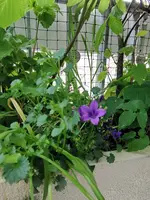 IMG_20210603_161653.webp