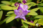 DSC00745.JPG