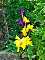 IMG_20210531_112134_2.webp