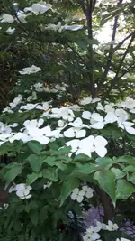 20210604_200104.webp