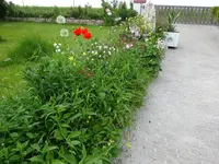 DSC01734.webp