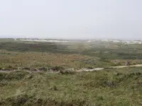 20210604_120730.webp
