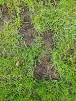 IMG-20210605-WA0003.webp