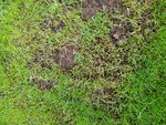 IMG-20210605-WA0000.jpg