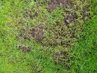IMG-20210605-WA0000.webp