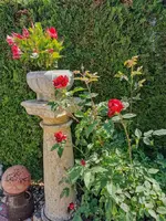 IMG_20210604_101443.webp