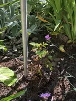 4CF9AA5A-74E2-41D7-929C-E087DC5E2073.webp 4CF9AA5A-74E2-41D7-929C-E087DC5E2073.webp