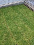 PXL_20210605_085159340.MP.jpg
