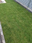 PXL_20210605_085154420.MP.jpg