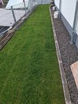PXL_20210605_085148546.MP.jpg