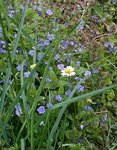 20210605_150454.jpg