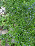20210524_160101.jpg
