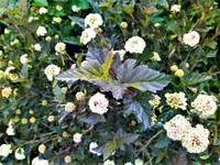 IMG_20210605_102026_1.webp