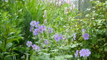 P1290009.JPG