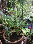 IMG_1601.jpeg
