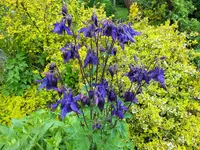 DSCF4670 (2).webp