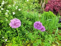 DSCF4671 (2).webp