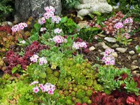 DSCF4676 (2).webp