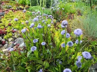 DSCF4678 (2).webp