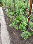 Garten 2021 (2039).jpg