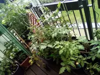IMG_20210606_120709.webp