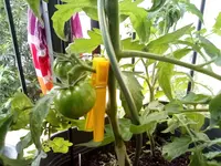 IMG_20210606_120914.webp