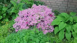 20210605_123447.webp