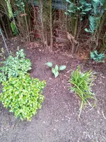 IMG_20210606_142707_1.webp