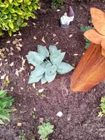 IMG_20210606_142722_3.webp