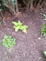 IMG_20210606_142702_9.webp