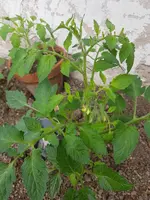 20210606_140919.webp