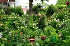 _MG_0163.webp