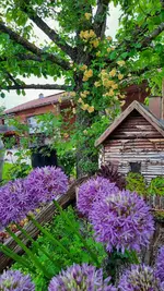 IMG-20210606-WA0001.webp