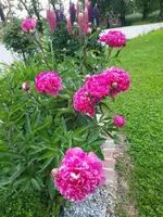 k-20210605_181110.webp
