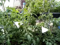IMG_20210606_192743.webp