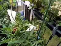 IMG_20210606_192749.webp