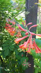 20210606_103956.jpg