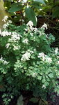 20210606_102235.jpg