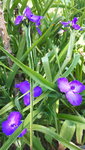 20210606_103725.jpg