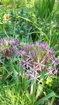 20210606_103738.jpg