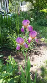 20210606_103628.webp