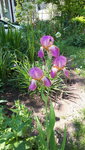 20210606_103628.jpg