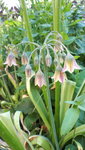 20210606_103855.jpg
