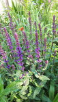 20210606_103712.jpg