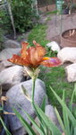 20210605_185749.jpg