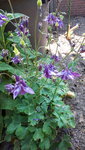 20210606_102430.jpg