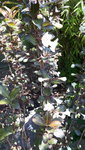 20210606_102348.jpg