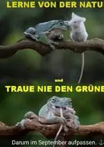 grün.webp