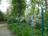 P1030819Tilantien.JPG